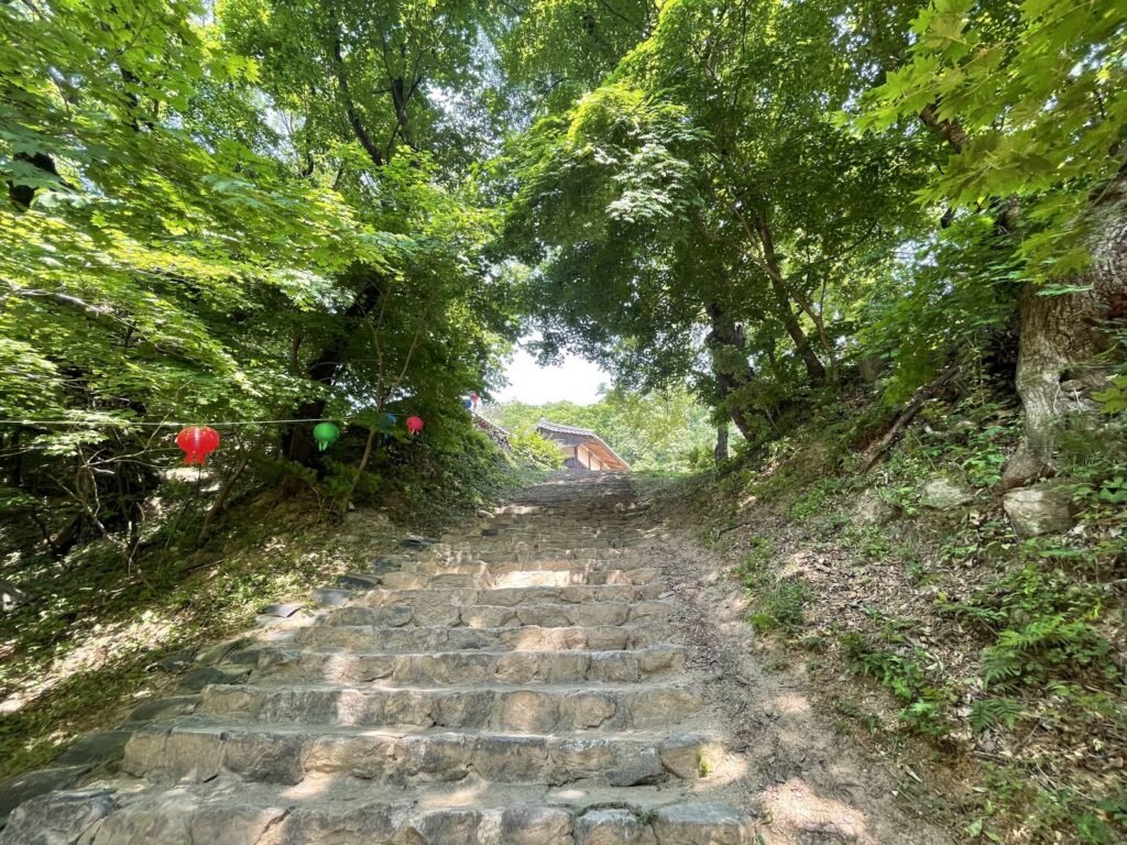 鳳停寺へ続く石段の参道