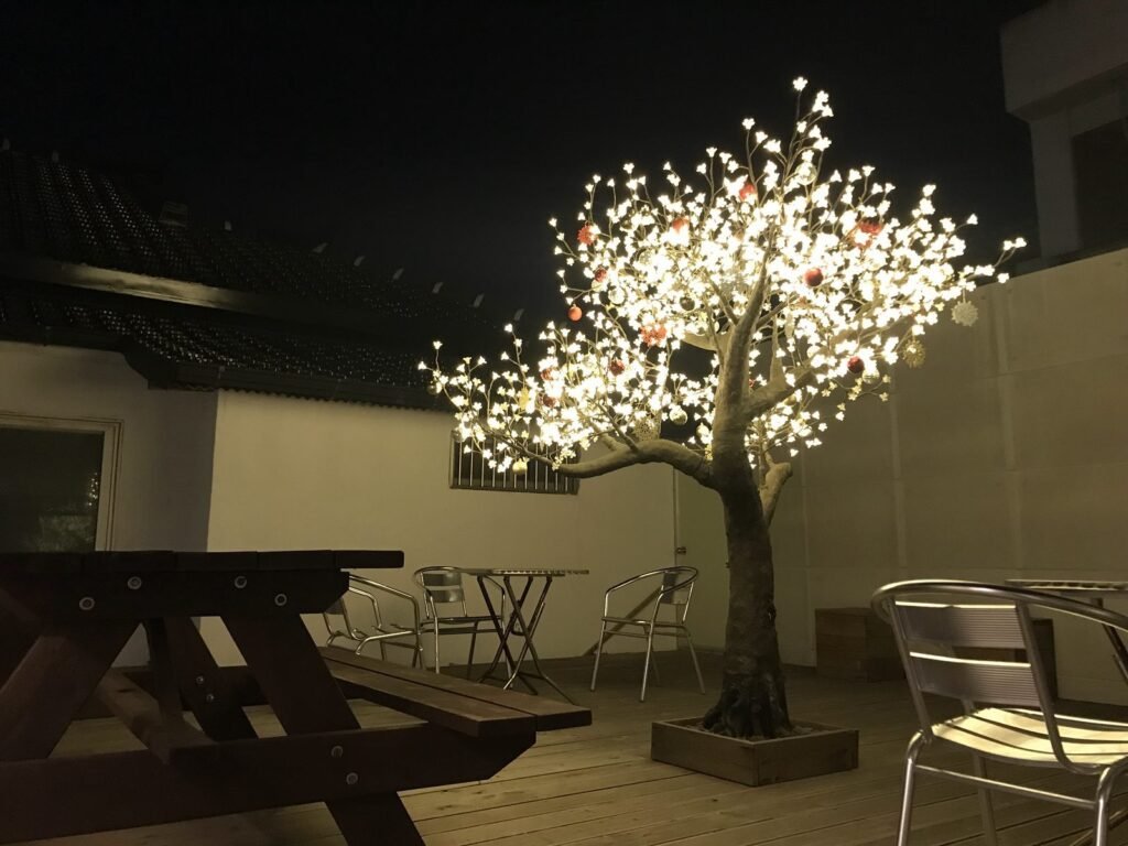 夜の中庭で光る木のライト
