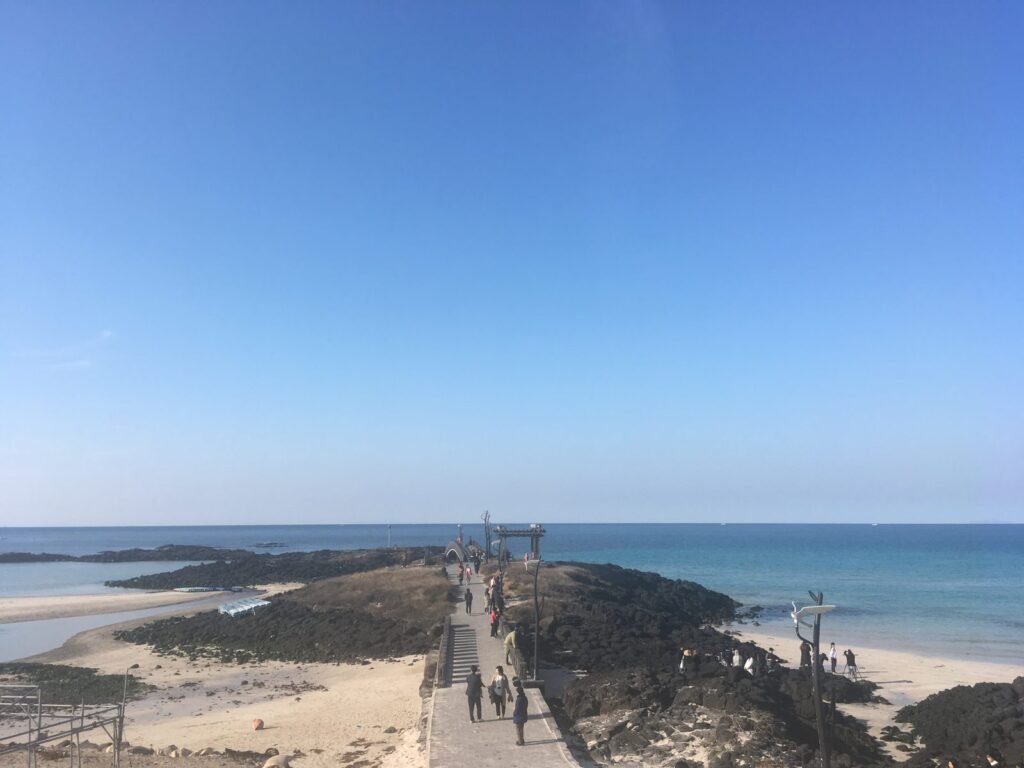 咸徳海水浴場の海へのびる道
