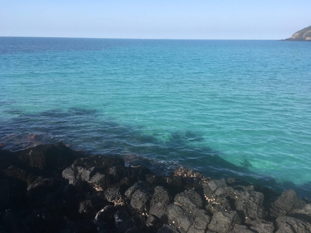 黒い溶岩の岩と、すきとおった済州の海