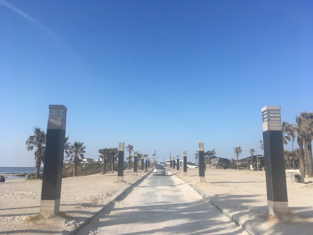 ヤシの木が並ぶ咸徳の海辺の遊歩道