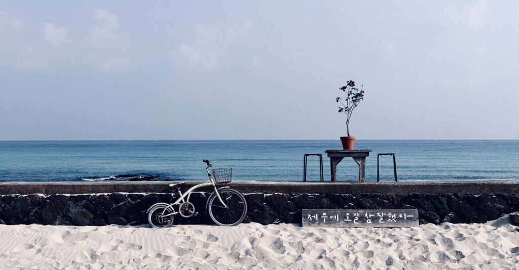 細花の海辺にある自転車とベンチのフォトスポット