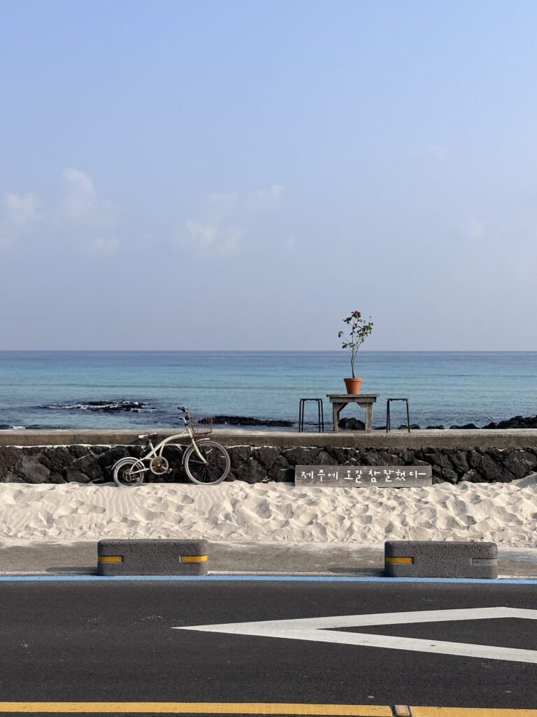 細花の海辺の朝