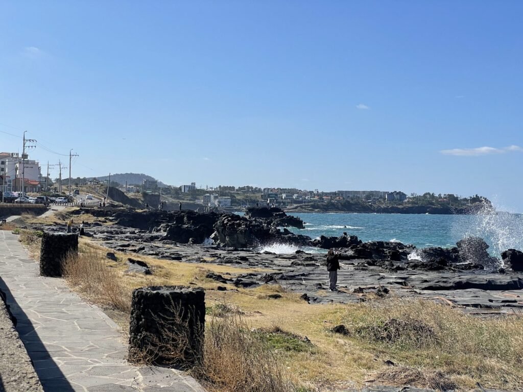 黒い石の柱が並ぶ済州の海沿いの道